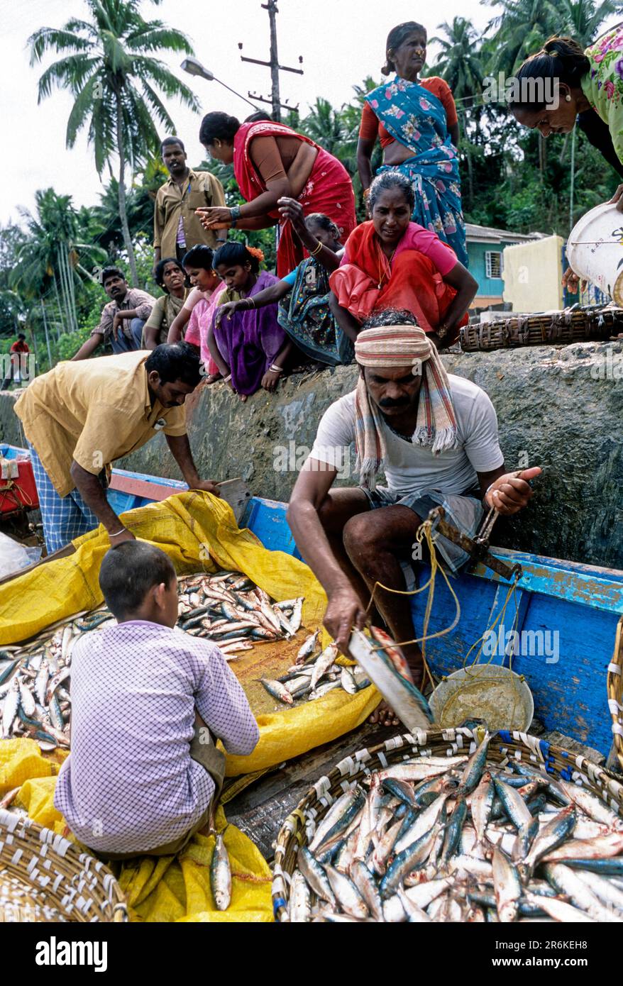 Donne venditori al dettaglio di pesce in attesa di acquisto di pesce a Port Blair, India, Asia Foto Stock