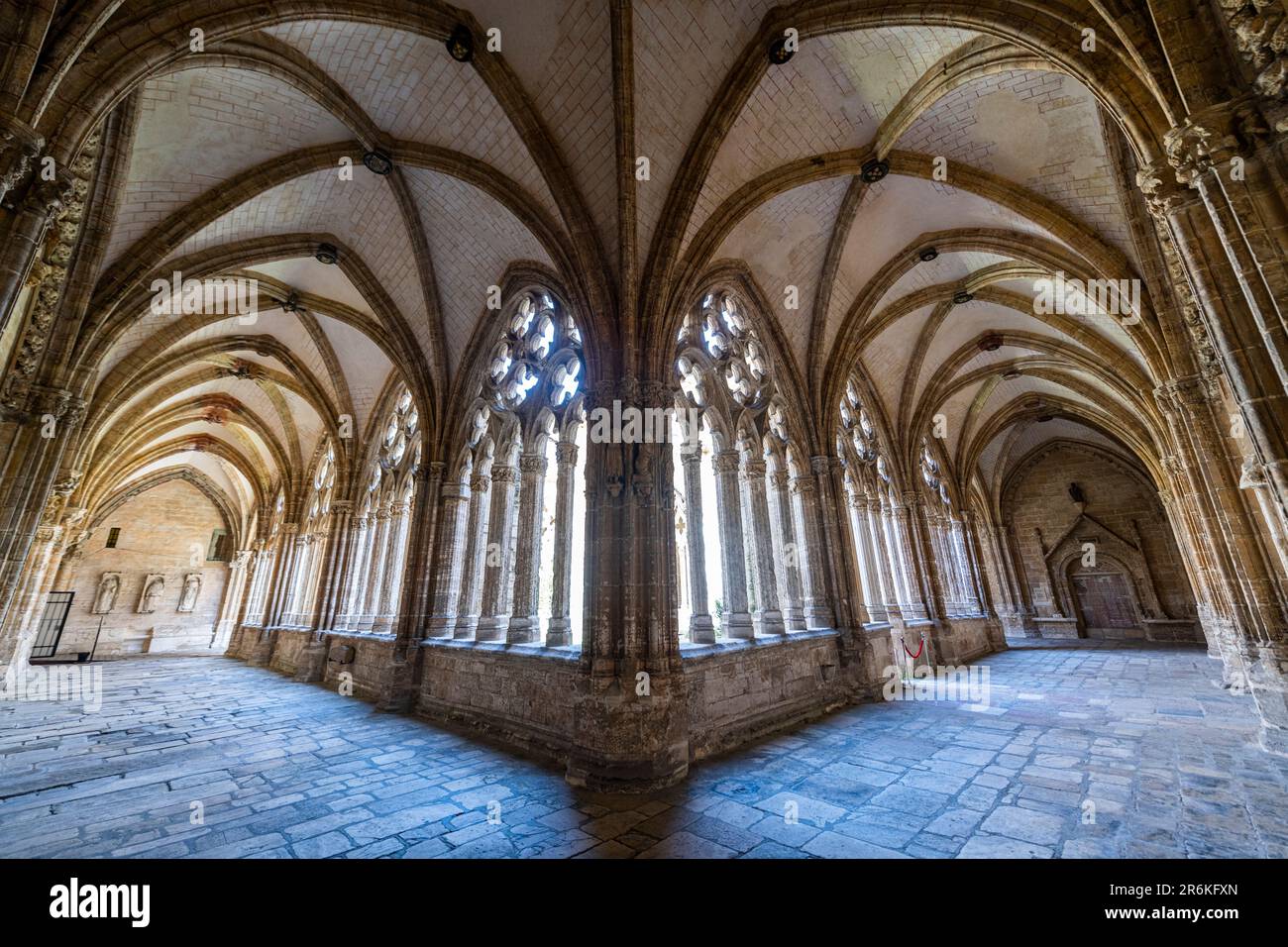Chiostro della Cattedrale di San Salvador, Oviedo, Patrimonio dell'Umanità dell'UNESCO, Asturie, Spagna, Europa Foto Stock