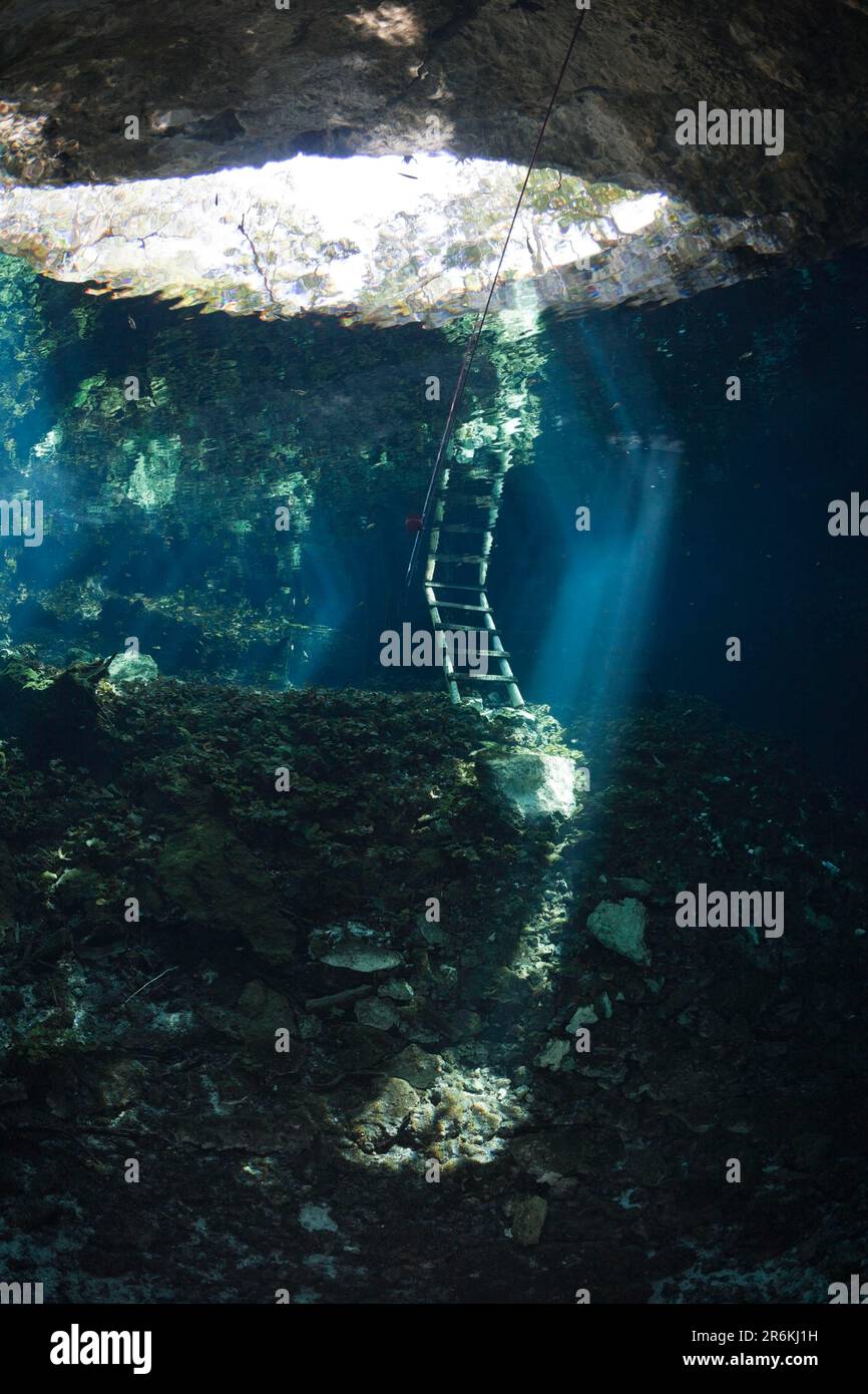 Gran Cenote grotta subacquea, penisola dello Yucatan, grotta subacquea, Messico Foto Stock