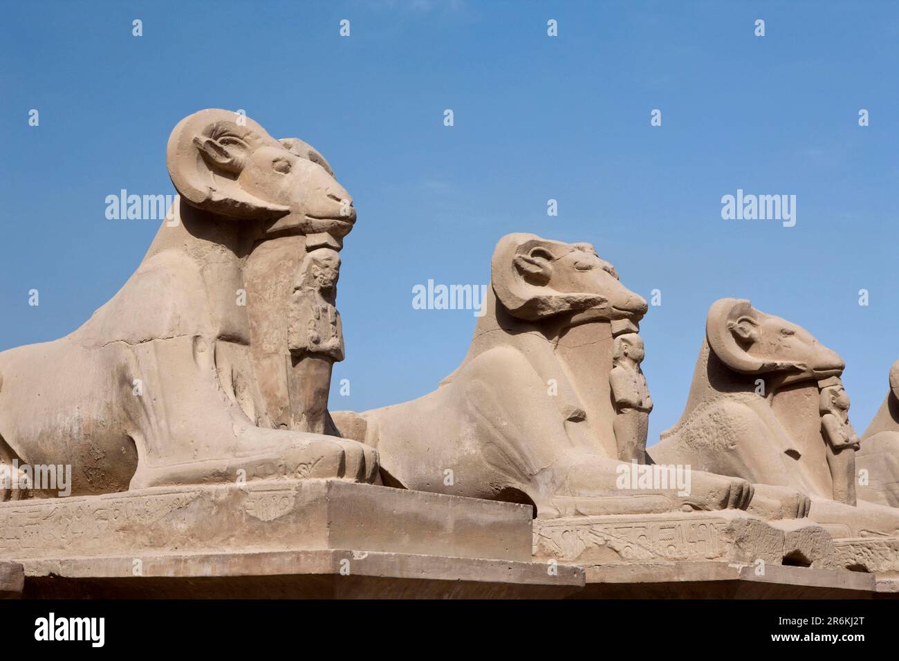 RAM's Head Sphinxes Avenue, Tempio di Karnak, Karnak, Luxor, RAM's Head Sphinxes, Capo di RAM Sphinx, Egitto Foto Stock