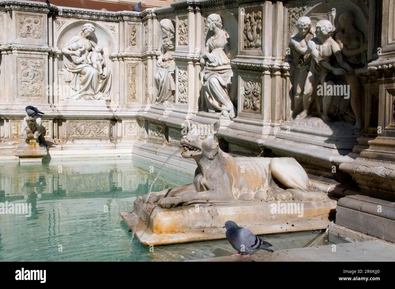 Fontana Fonte Gaia, Piazza del campo, Siena, Toscana, Italia Foto Stock