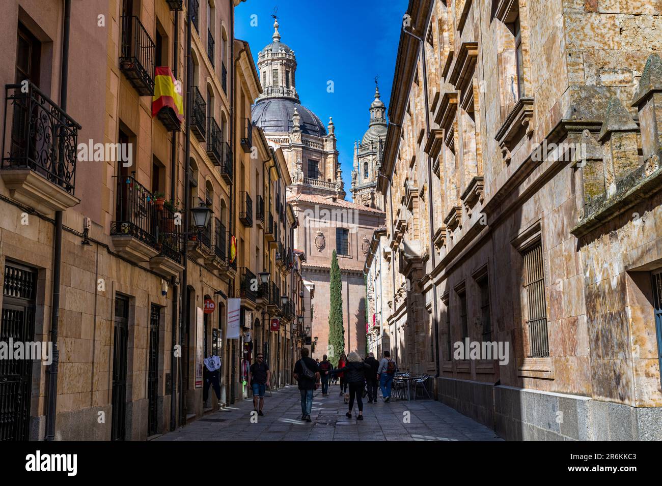 Città vecchia, Salamanca, patrimonio dell'umanità dell'UNESCO, Castiglia e Leon, Spagna, Europa Foto Stock