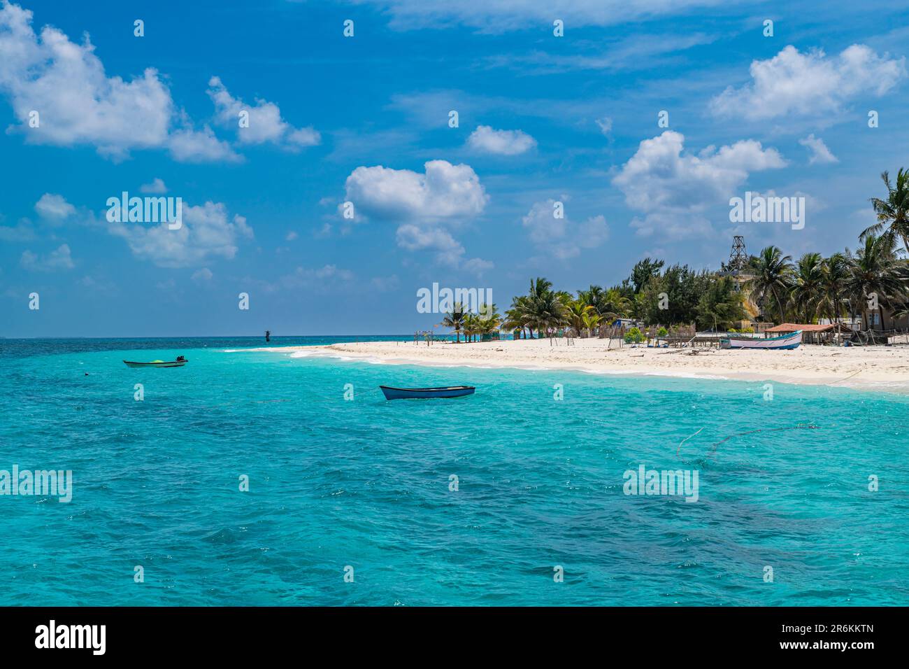 Spiaggia di sabbia bianca orlata di palme, isola di Agatti, arcipelago Lakshadweep, territorio dell'Unione dell'India, Oceano Indiano, Asia Foto Stock