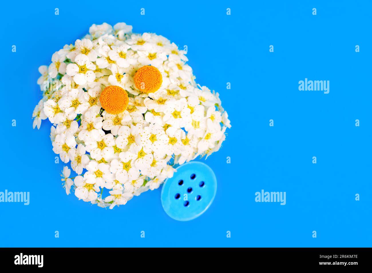Divertente fiore carattere fatto da un bouquet lussureggiante di Spiraea Vanhouttei albero fiori e un annaffiatoio in miniatura, insieme contro un vibrante sfondo blu Foto Stock
