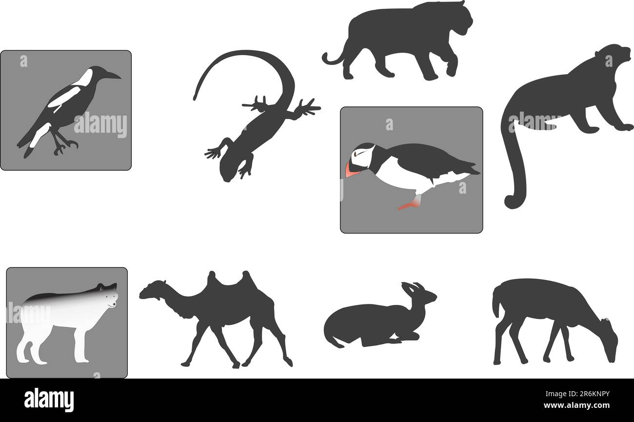 diverse illustrazioni e sagome di animali possono essere utilizzate separatamente Illustrazione Vettoriale