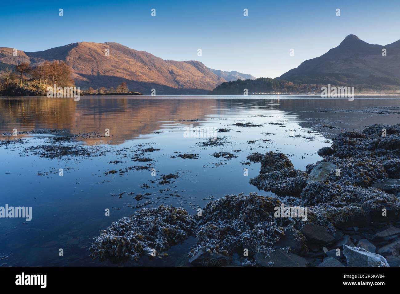 Alghe ghiacciate lungo la riva di Loch Leven, Lochaber, Scozia, Regno Unito, Europa Foto Stock