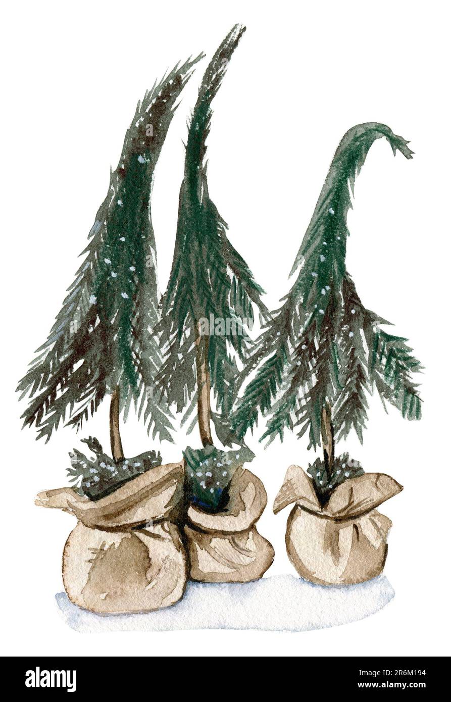 Acquerello albero verde di Capodanno. Illustrazione disegnata a mano con acquerello. Foto Stock