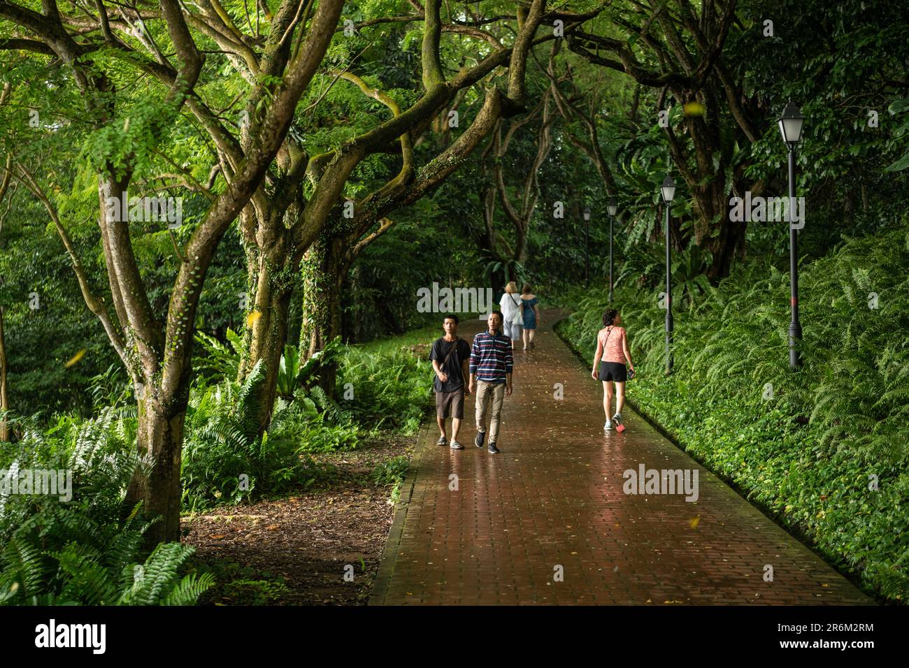 Fort Canning Park, Singapore, Asia sudorientale, Asia Foto Stock