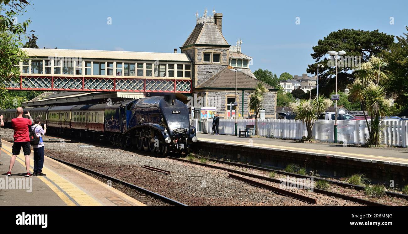 LNER Classe A4 Pacific No 60007 Sir Nigel Gresley passando per la stazione di Torquay con la tratta di andata dell'English Riviera Express il 3rd giugno 2023. Foto Stock