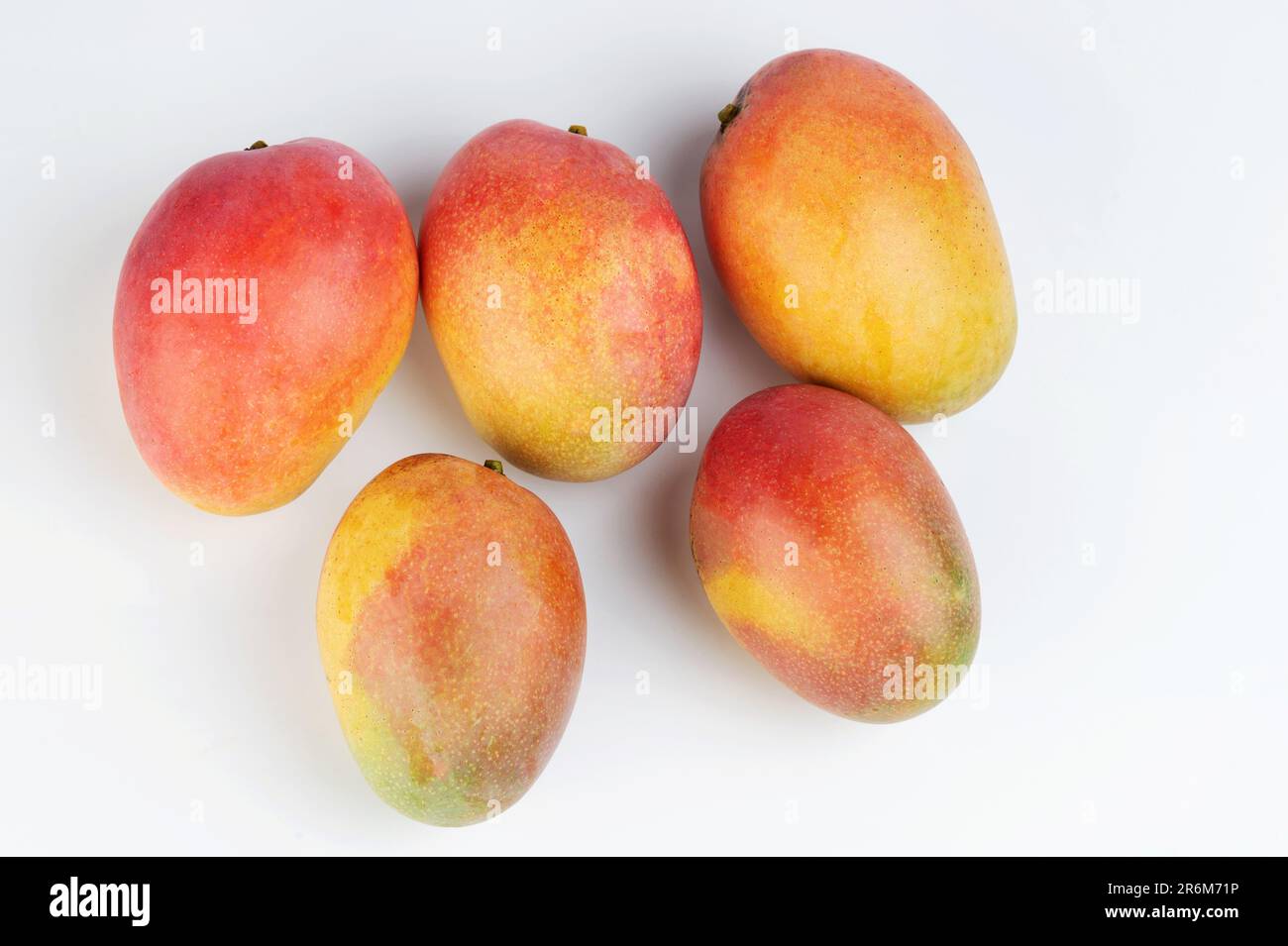 Diversi frutti di mango di colore rosso sopra la vista dall'alto isolato su sfondo bianco studio Foto Stock