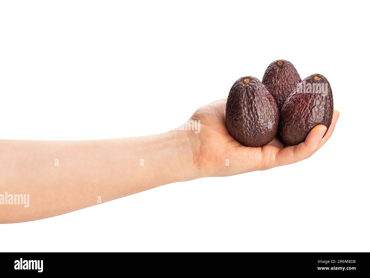 hass avocado in mano percorso isolato su bianco Foto Stock