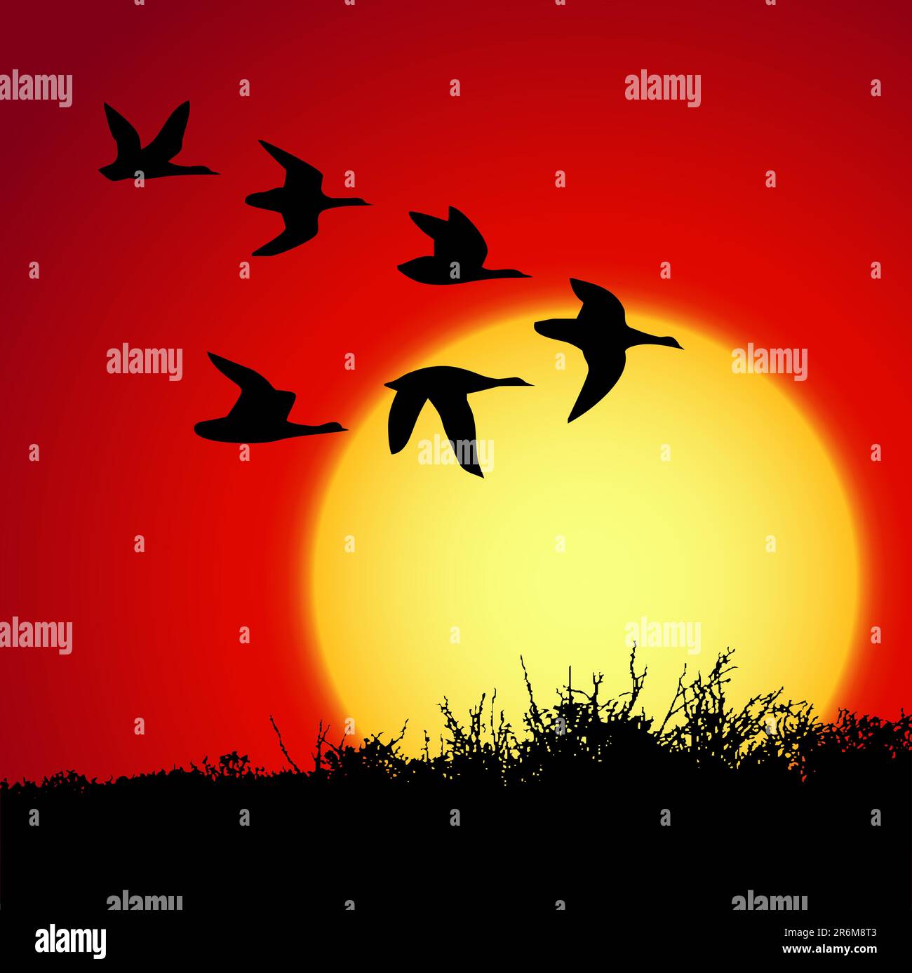 paesaggio al tramonto con uccelli silhouette Illustrazione Vettoriale