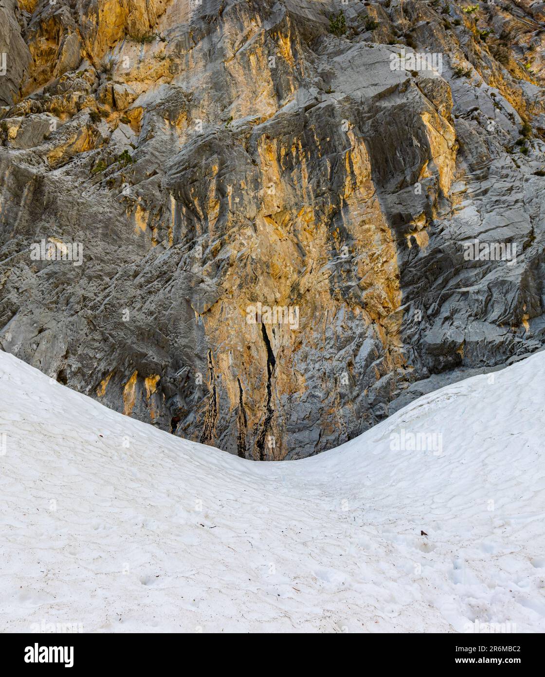 Pareti coperte di neve sul Little Falls Trail, Spring Mountains, National Recreation Area, Nevada, USA Foto Stock