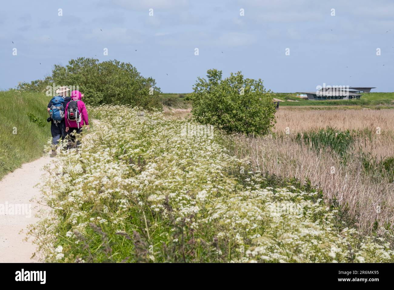 Gente che cammina attraverso la riserva RSPB di Titchwell, Norfolk. Foto Stock