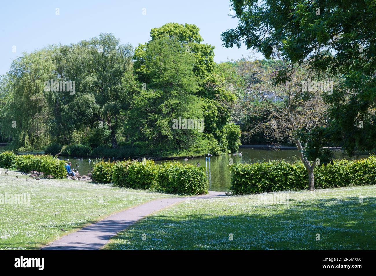 Vista sullo Skottowes Pond, un lago ornamentale artificiale. Lowndes Park, Chesham, Buckinghamshire, Inghilterra, Regno Unito Foto Stock