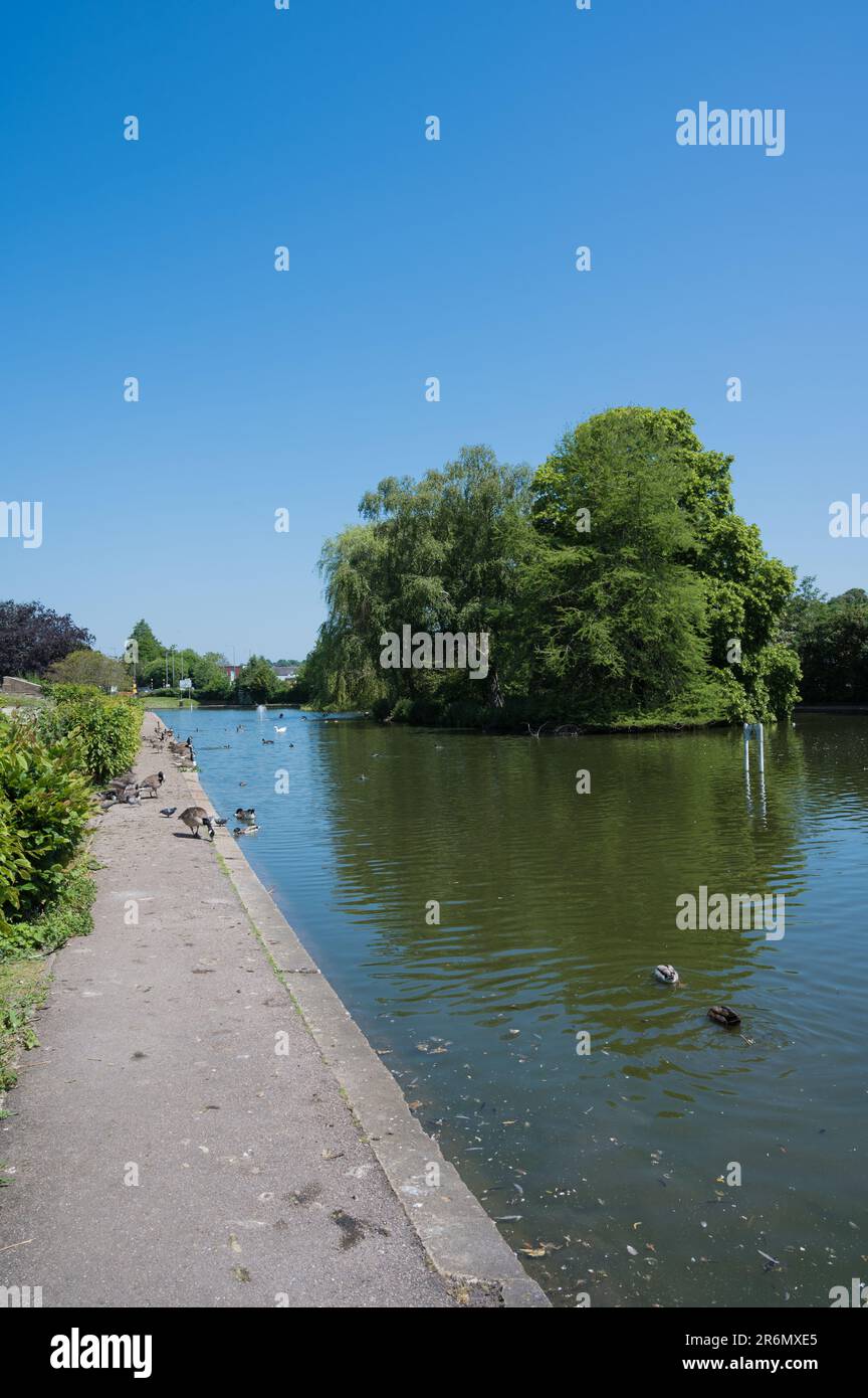 Vista sullo Skottowes Pond, un lago ornamentale artificiale. Lowndes Park, Chesham, Buckinghamshire, Inghilterra, Regno Unito Foto Stock