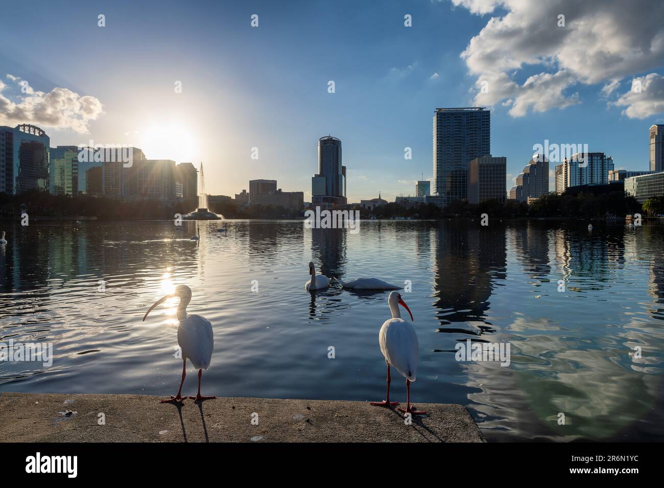 Skyline della città di Orlando al tramonto nel Lake Eola Park, Florida Foto Stock