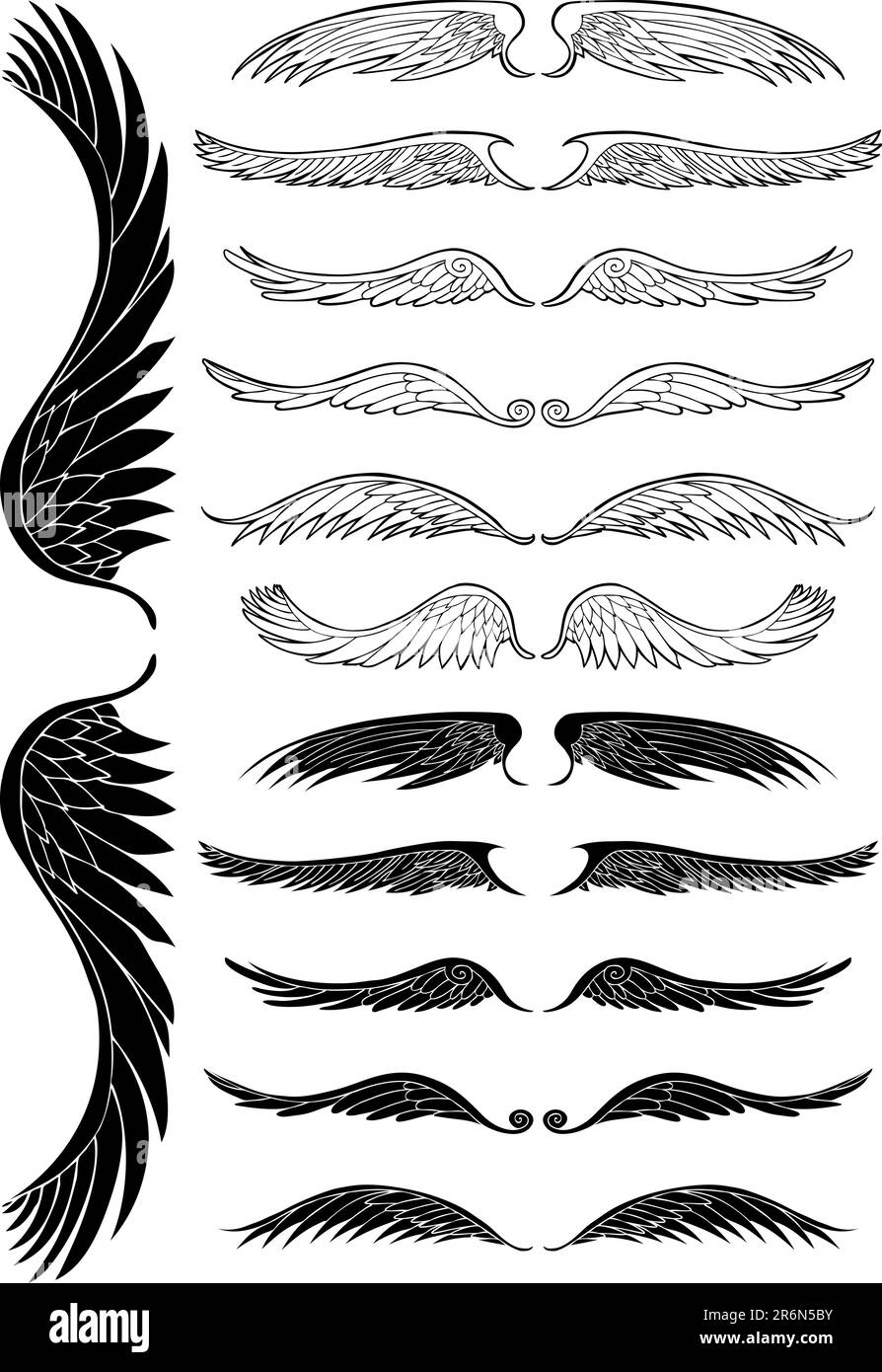 Set di 12 set di ali d'angelo. Illustrazione Vettoriale