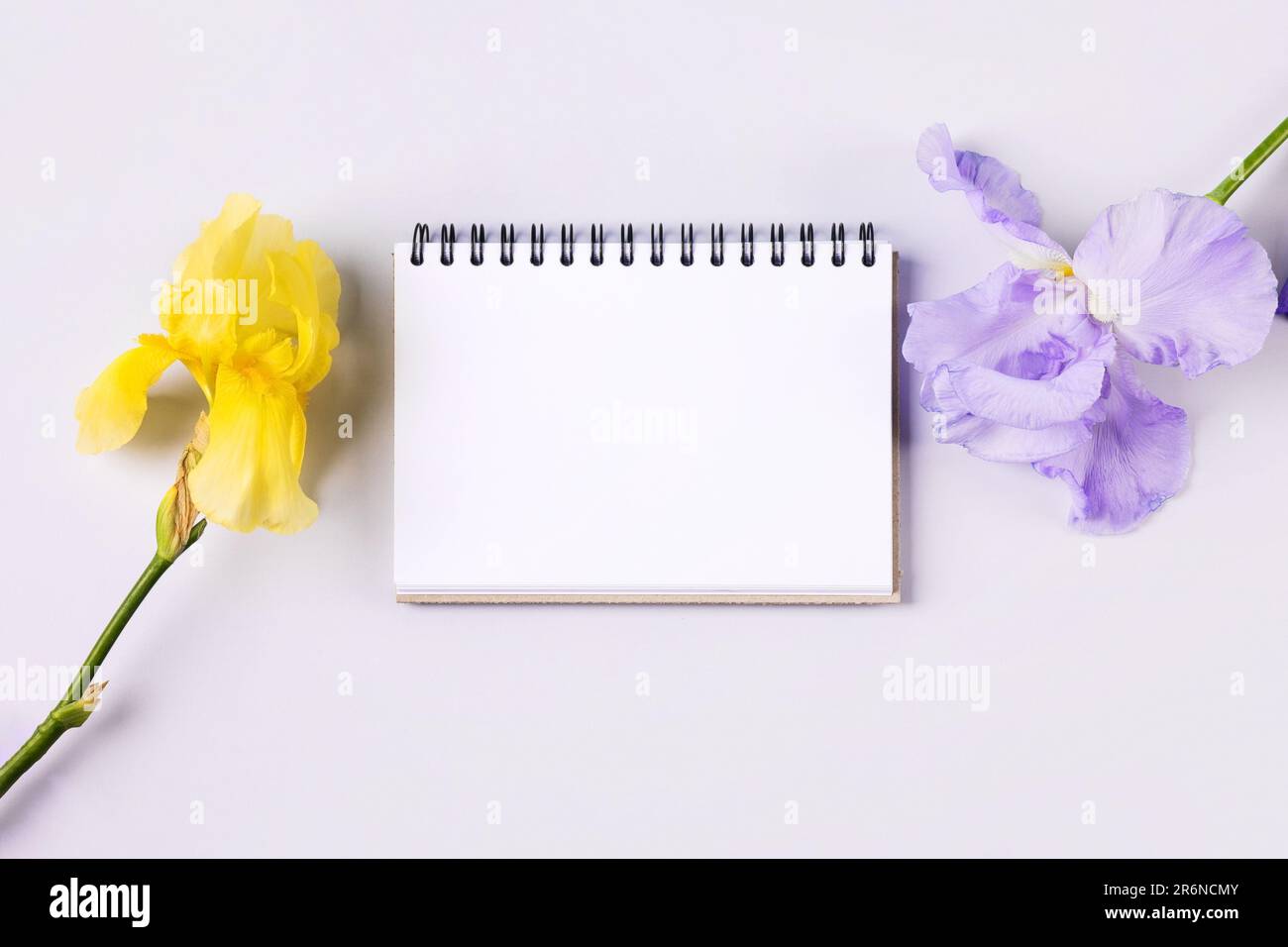 Notebook con pagina pulita con fiori viola e giallo iridi su sfondo arancione. Stile piatto. Foto Stock