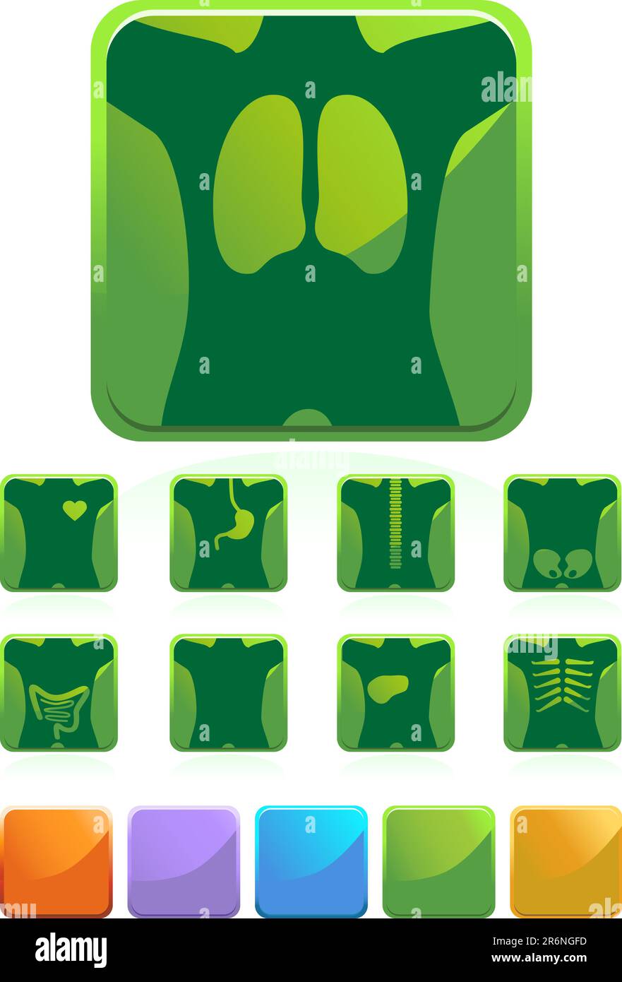Set di 9 diversi raggi X - stile quadrato verde Illustrazione Vettoriale