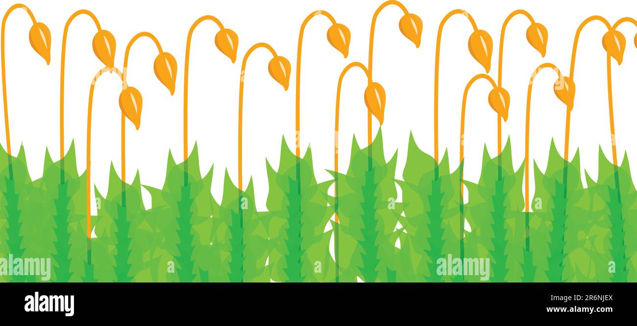 Illustrazione in primo piano vettoriale modificabile della vegetazione muschiata Illustrazione Vettoriale