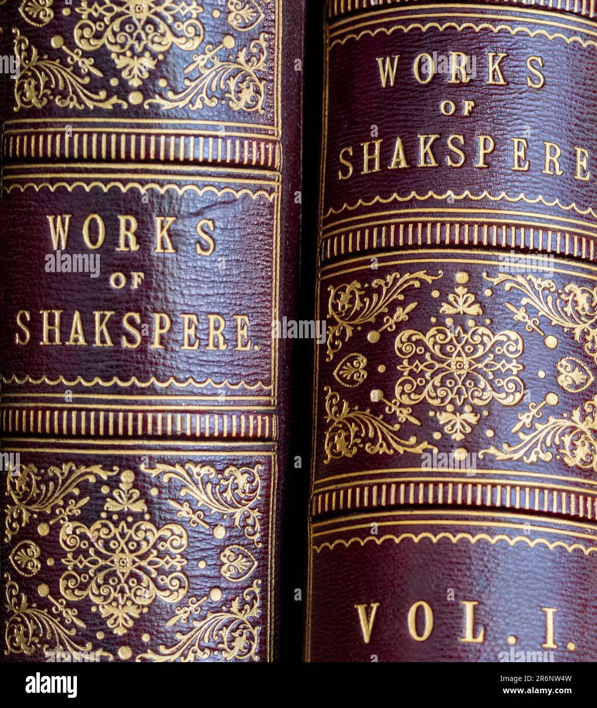 Primo piano delle spine dei due volumi di Shakespeare dei libri (qui scritto Shakspere) con elaborato binding in oro Foto Stock