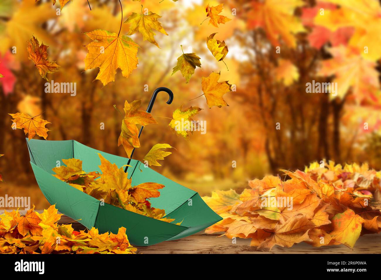 Atmosfera autunnale. Foglie dorate che volano da un ombrello verde nello splendido parco Foto Stock