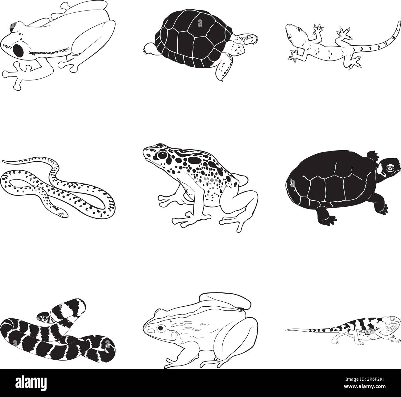 Rettili e anfibi vari, set di clipart vettoriali Illustrazione Vettoriale