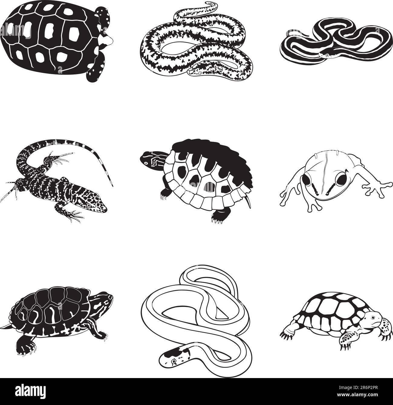 Rettili e anfibi vari, set di clipart vettoriali Illustrazione Vettoriale