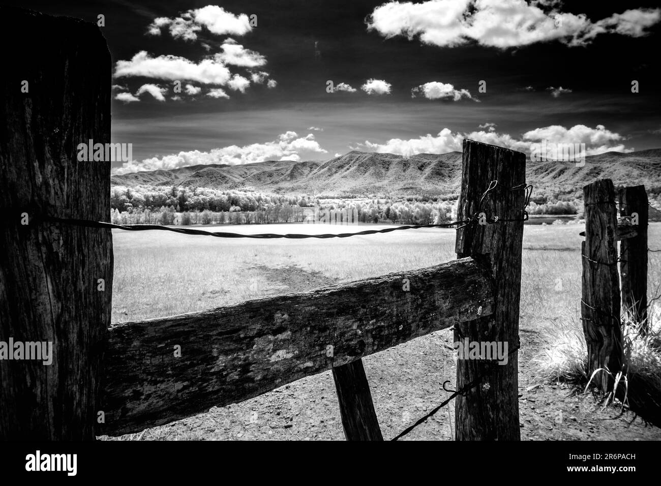 La recinzione vista a circa metà del percorso intorno a Cade's Cove nel Great Smoky Mountain National Park. Riprese a infrarossi in bianco e nero. Foto Stock
