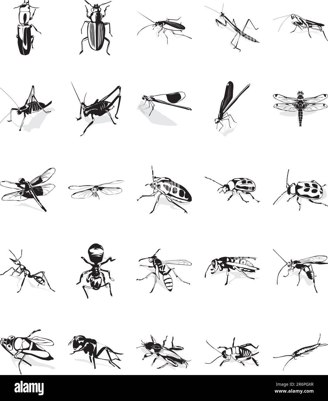 Illustrazione di venti clipart vettoriali uniformi di vari insetti Illustrazione Vettoriale