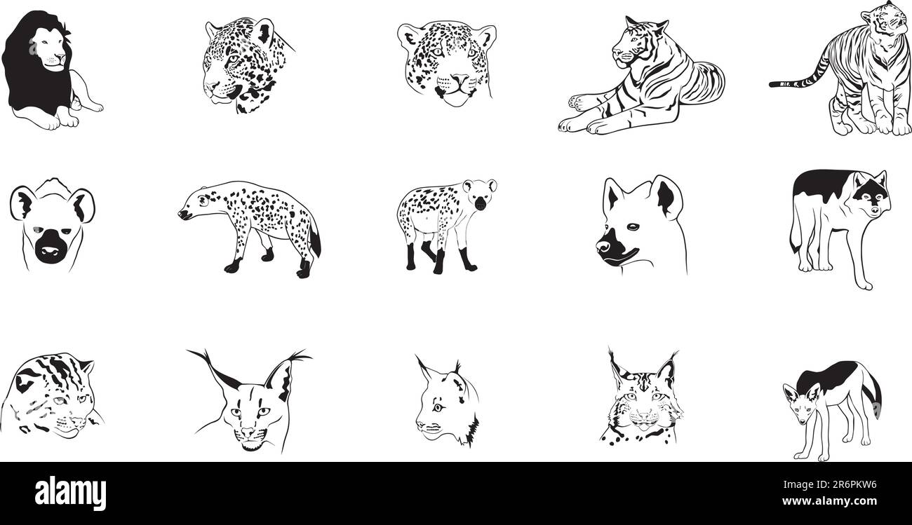 Raccolta di illustrazioni EPS vettoriali lisce di vari predatori Illustrazione Vettoriale