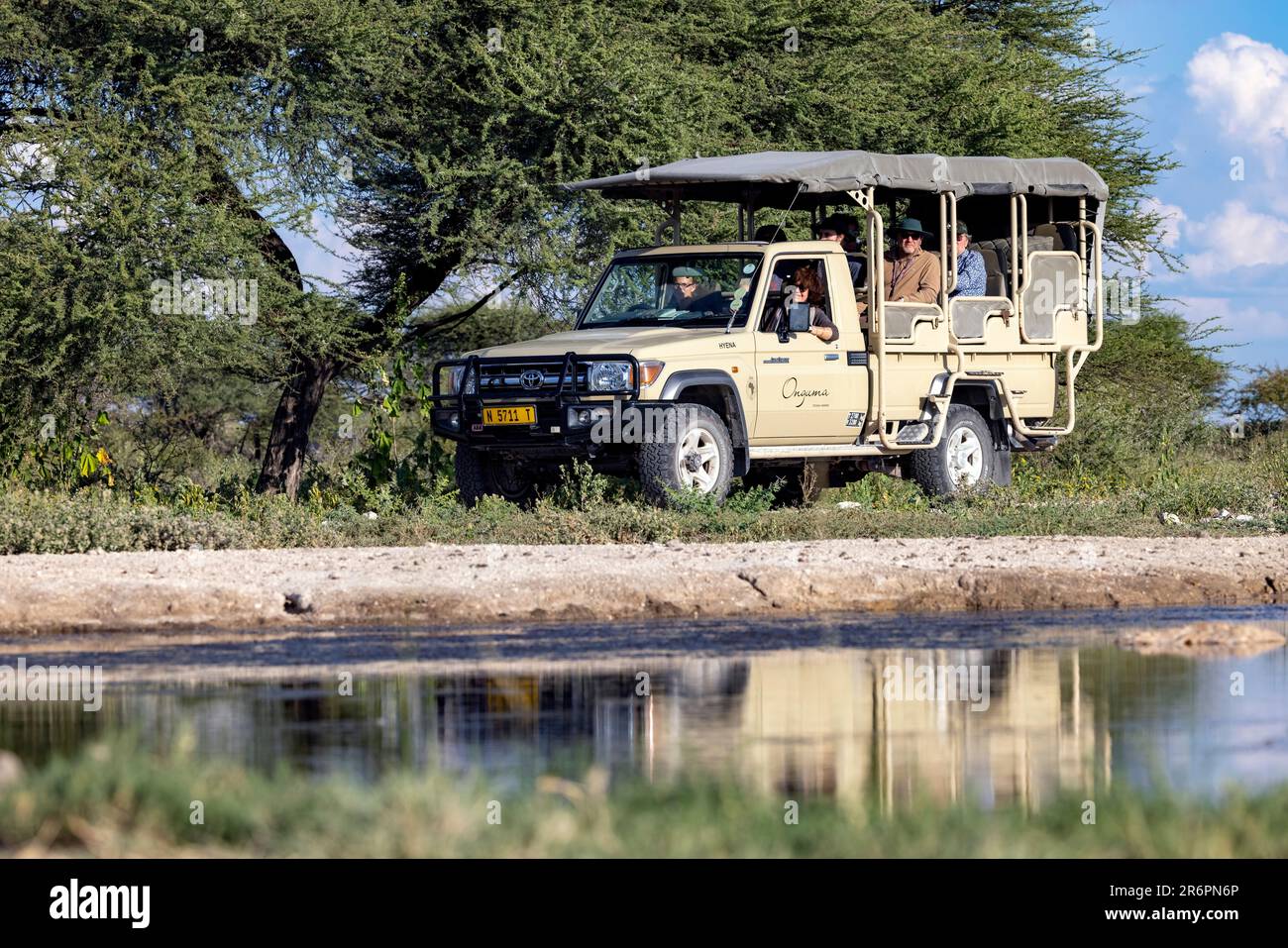 Game Drive presso la riserva naturale di Onguma, Namibia, Africa Foto Stock