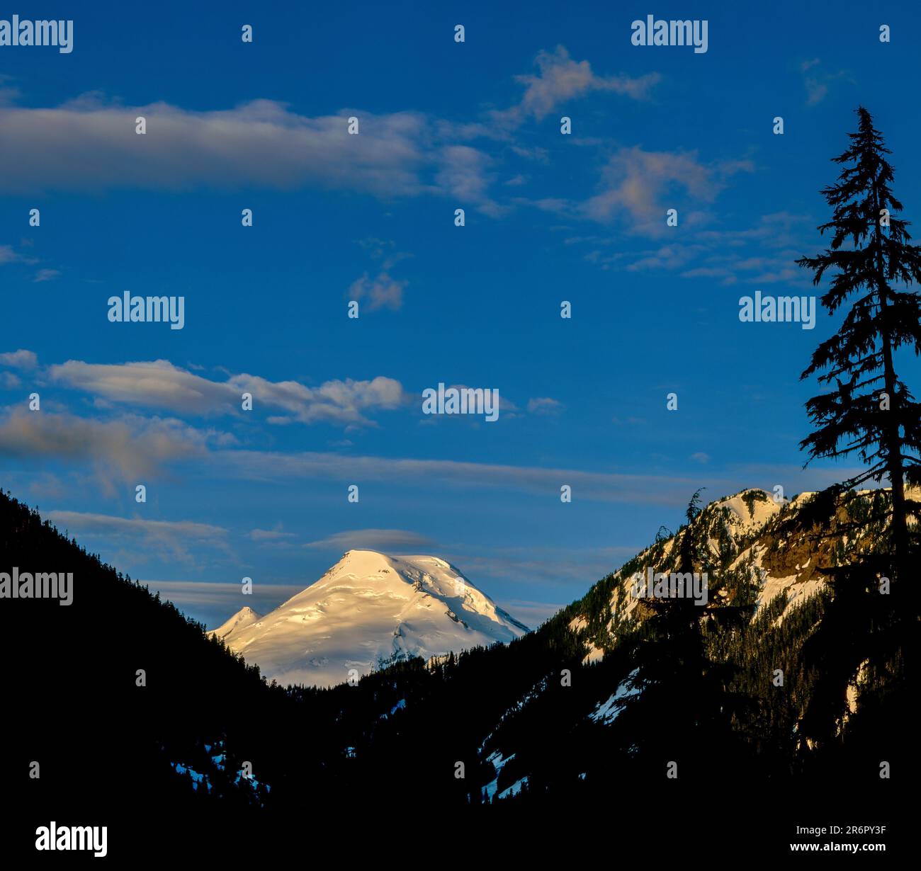 Mount Baker, Mount Baker-Snoqualmie Foresta Nazionale, Washington Foto Stock