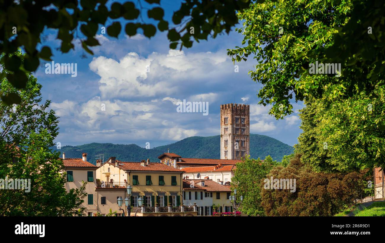 Lucca affascinante centro storico con San Frediano (San Frediano) campanili medievali visti dalle antiche mura del parco pubblico Foto Stock