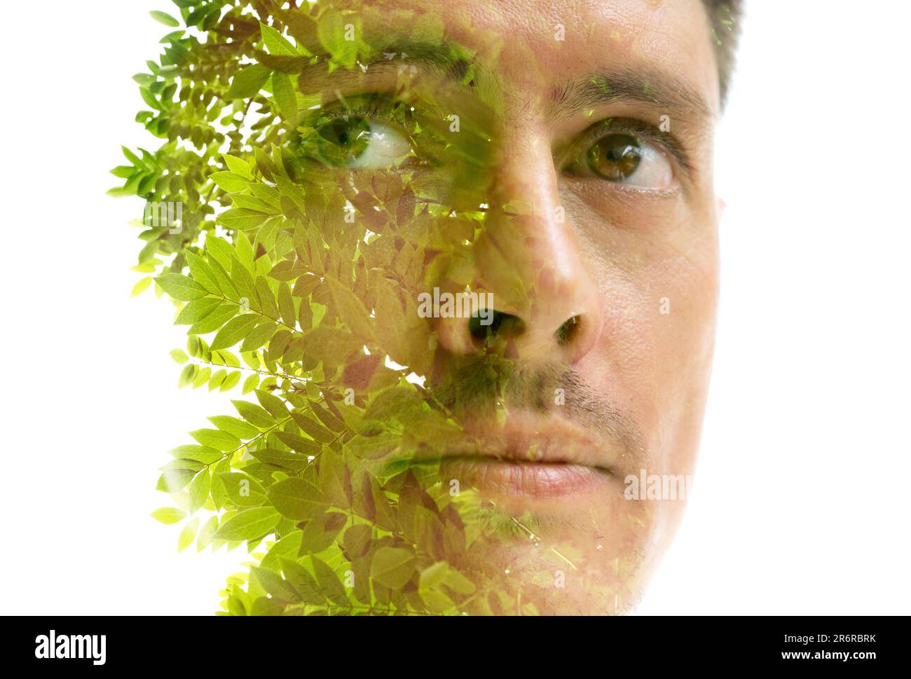 Ritratto dell'uomo a doppia esposizione combinato con rami di albero verde Foto Stock
