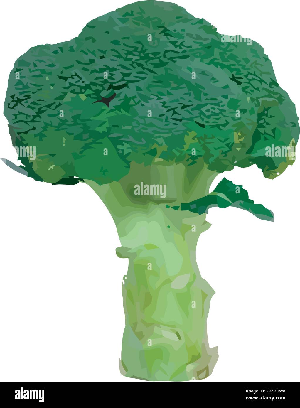 Broccoli vettoriali verdi come un vero albero Illustrazione Vettoriale