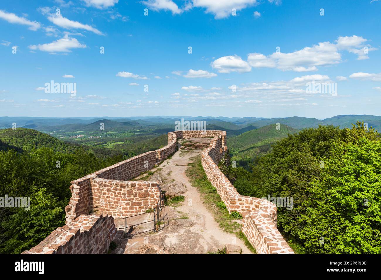 Vista sulle rovine del castello di Wegelnburg e il sole splende sul panorama delle montagne Palatinate in primavera, Renania-Palatinato, Germania Foto Stock