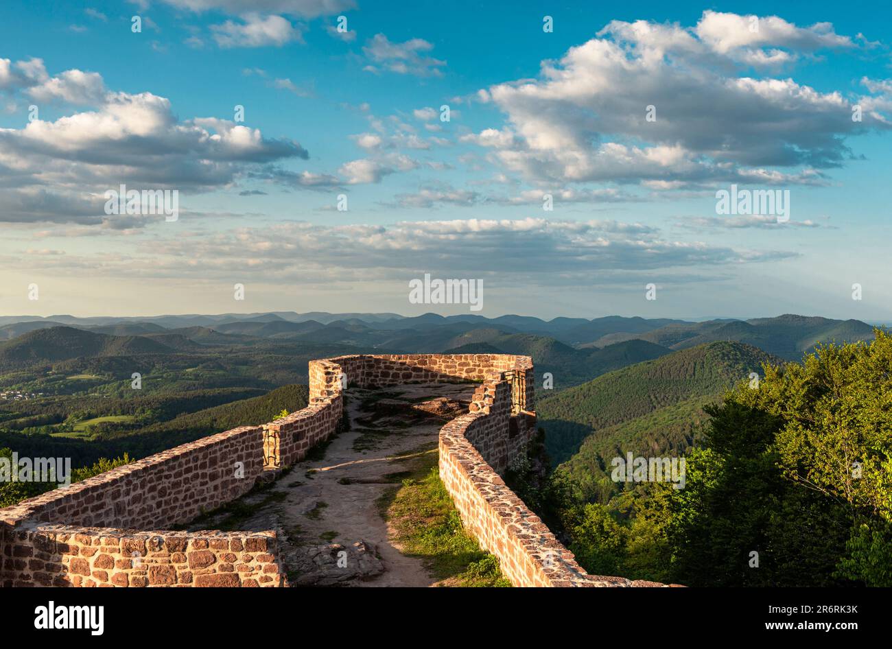 Vista sulle rovine del castello di Wegelnburg e il sole pomeridiano che splende sul panorama delle montagne Palatinate in primavera, Renania-Palatinato, Germania Foto Stock