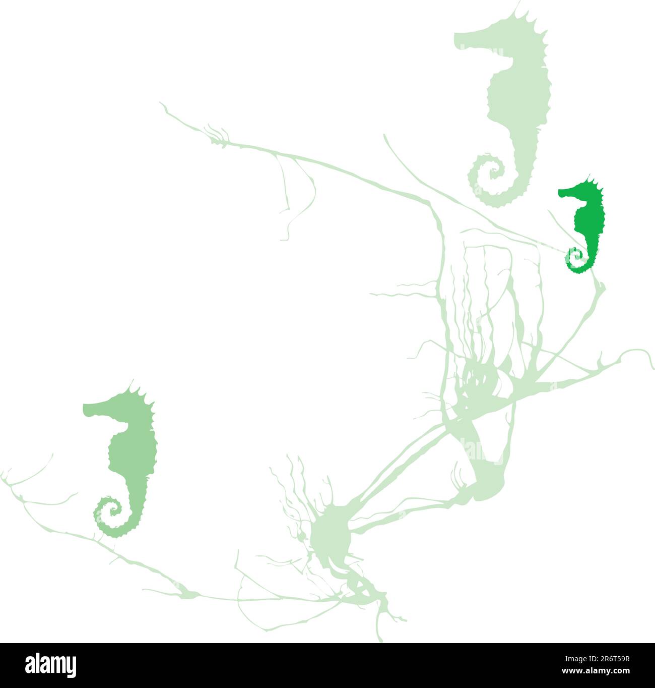 Tre cavallucci marini verdi si nascondono in una massa di alghe. Illustrazione Vettoriale