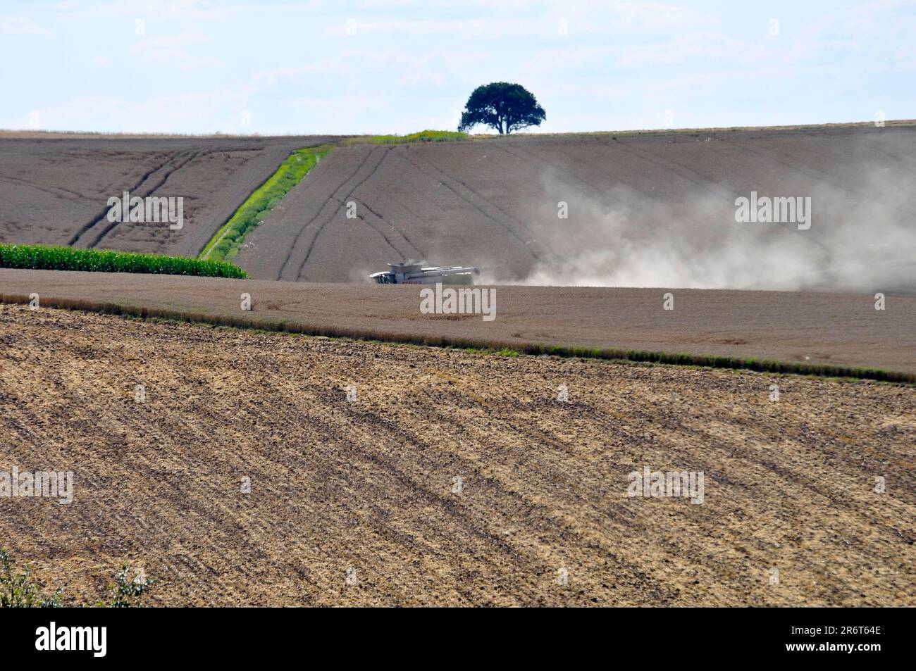 Mietitrebbia durante l'operazione di raccolta Kraichgau Foto Stock