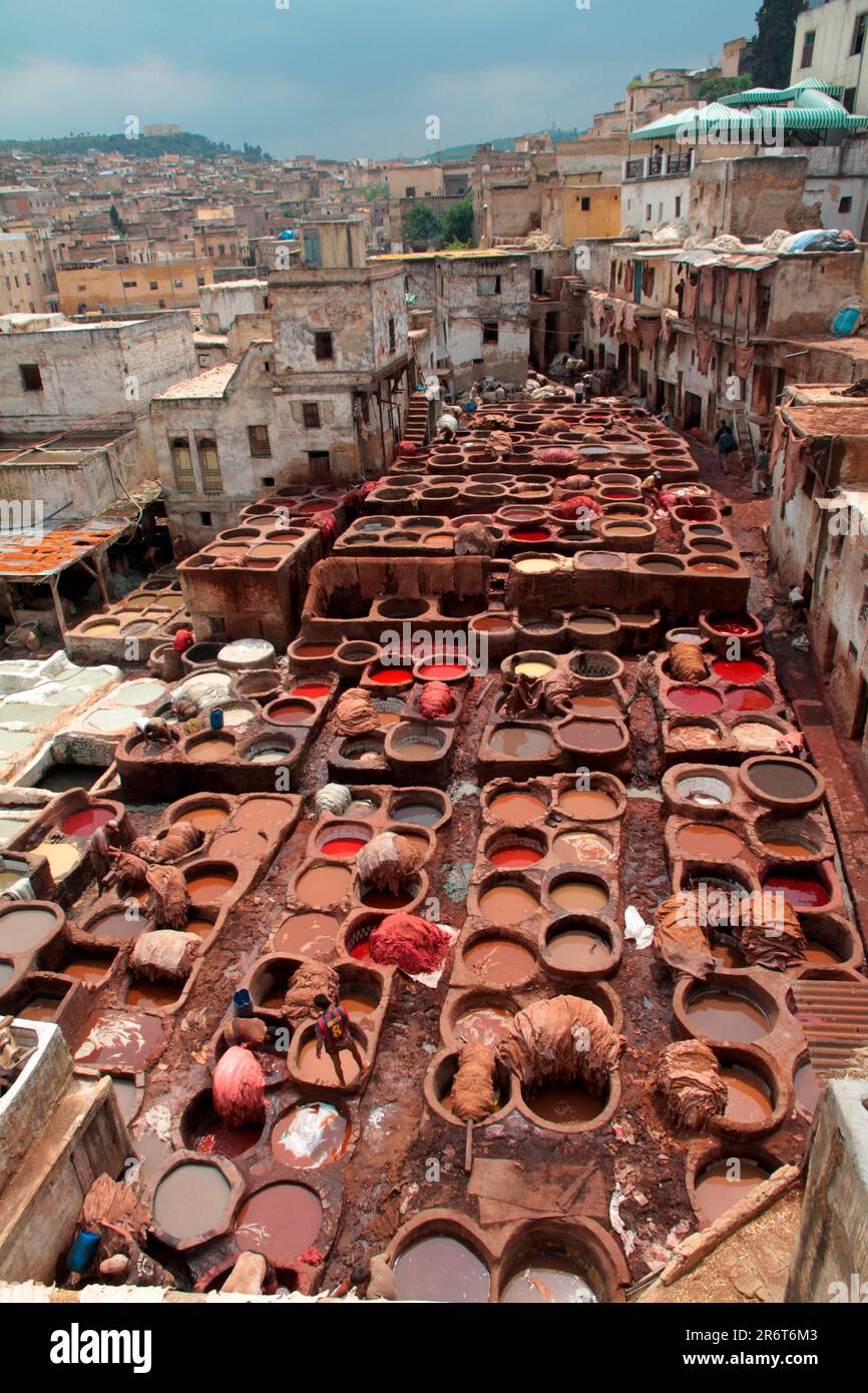 Conciatura e tintura di cuoio nel centro storico di Fez Marocco Foto Stock
