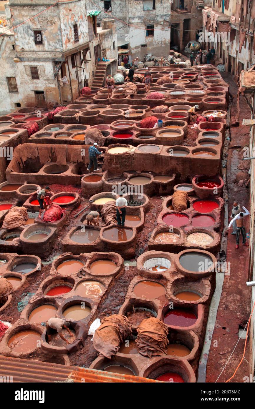Concia e tintura di cuoio tradizionale nella medina di Fez Marocco, patrimonio dell'umanità dell'UNESCO Foto Stock