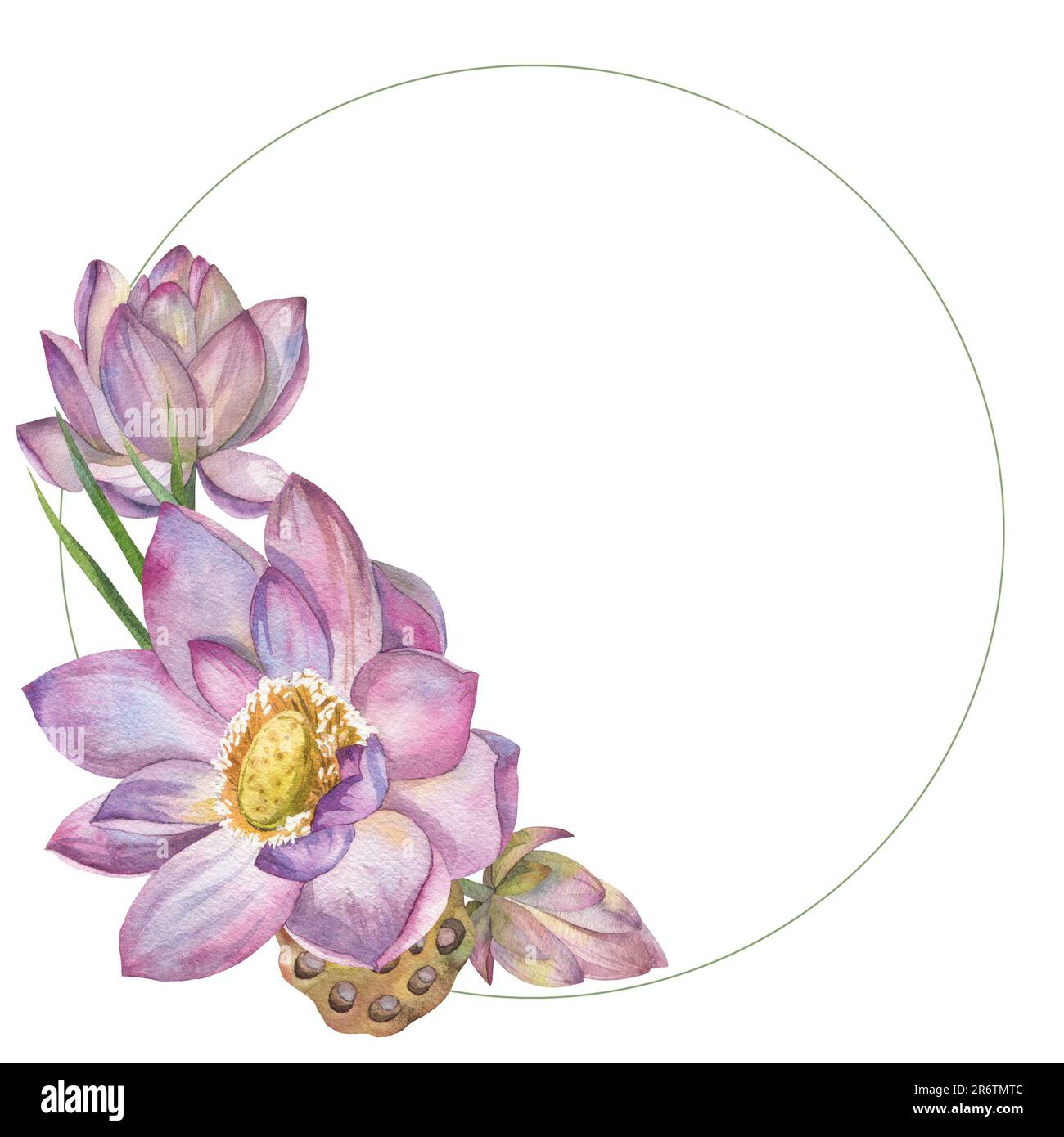 un bouquet di delicati fiori di loto dipinti in acquerello in cornice rotonda Foto Stock