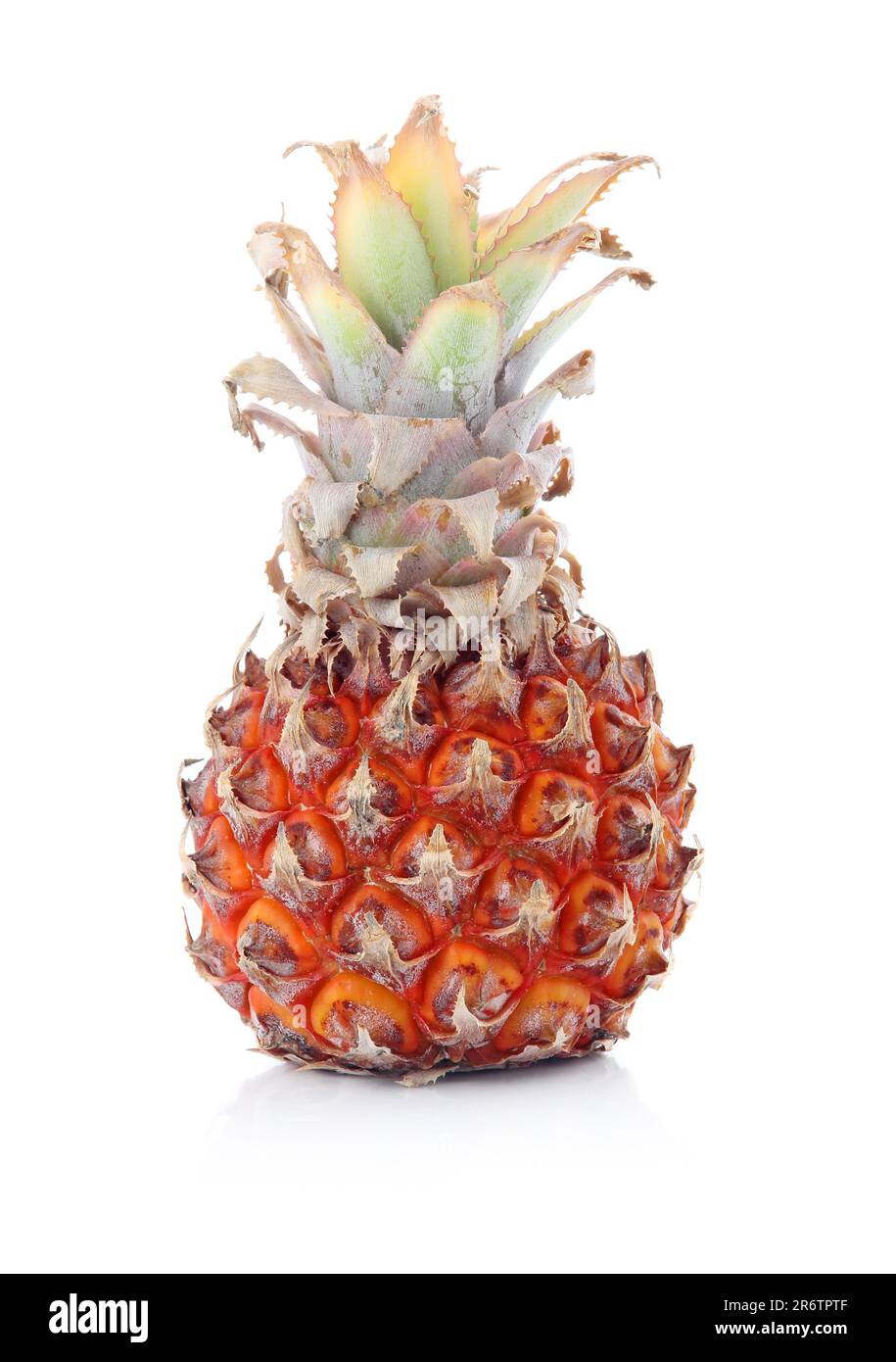 Ananas maturo con foglie verdi isolate su fondo bianco Foto Stock