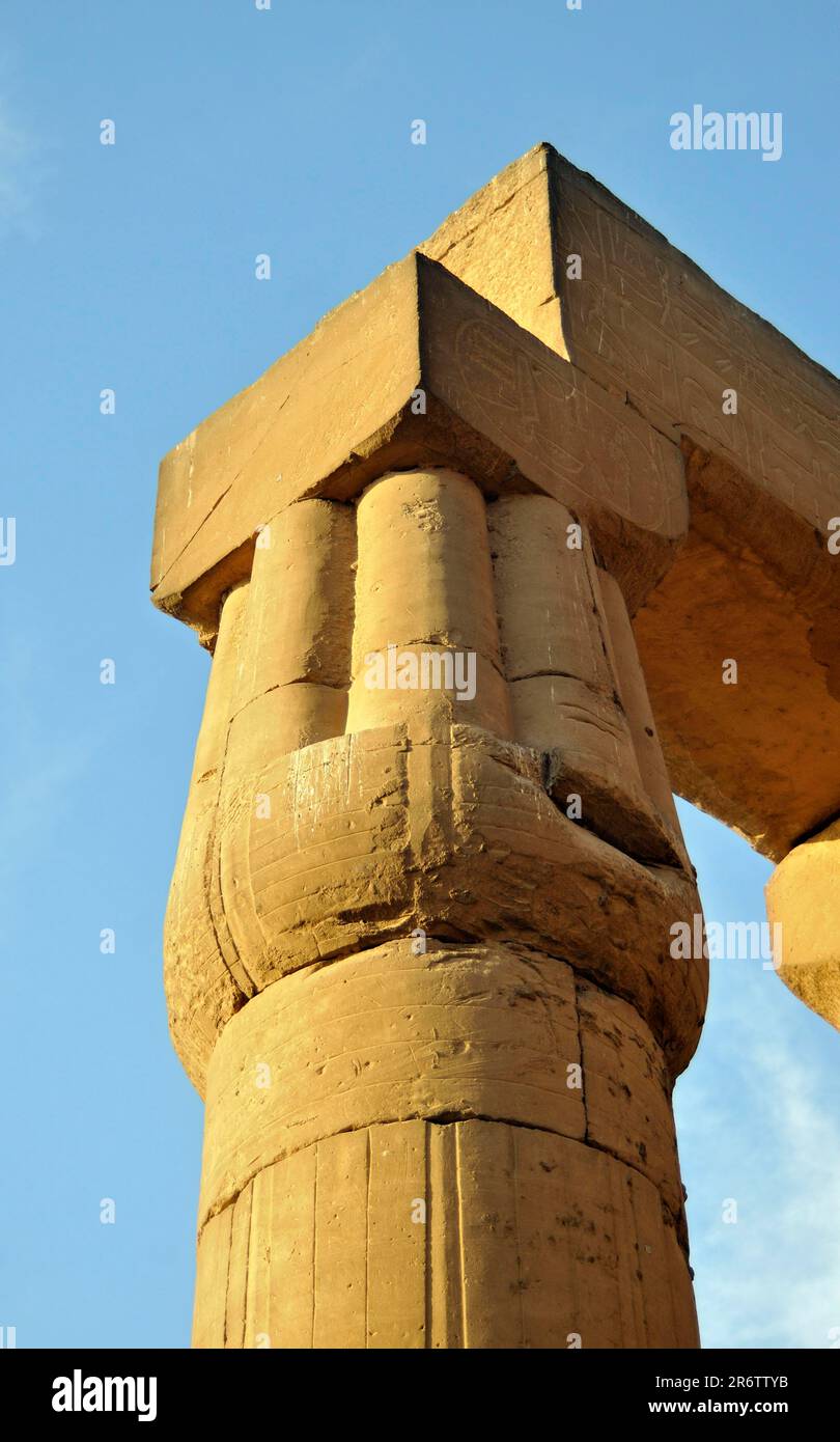 Architrave e capitale della colonna papiro, Grande cortile del Sole di Amenhotep III, Tempio di Luxor, Tebe, colonna papiro, colonna a forma di papiro Foto Stock