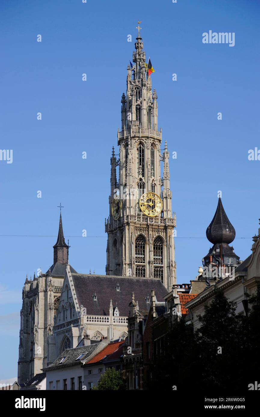 Cattedrale di nostra Signora, Anversa, Fiandre, Belgio, Chiesa Cattedrale Foto Stock