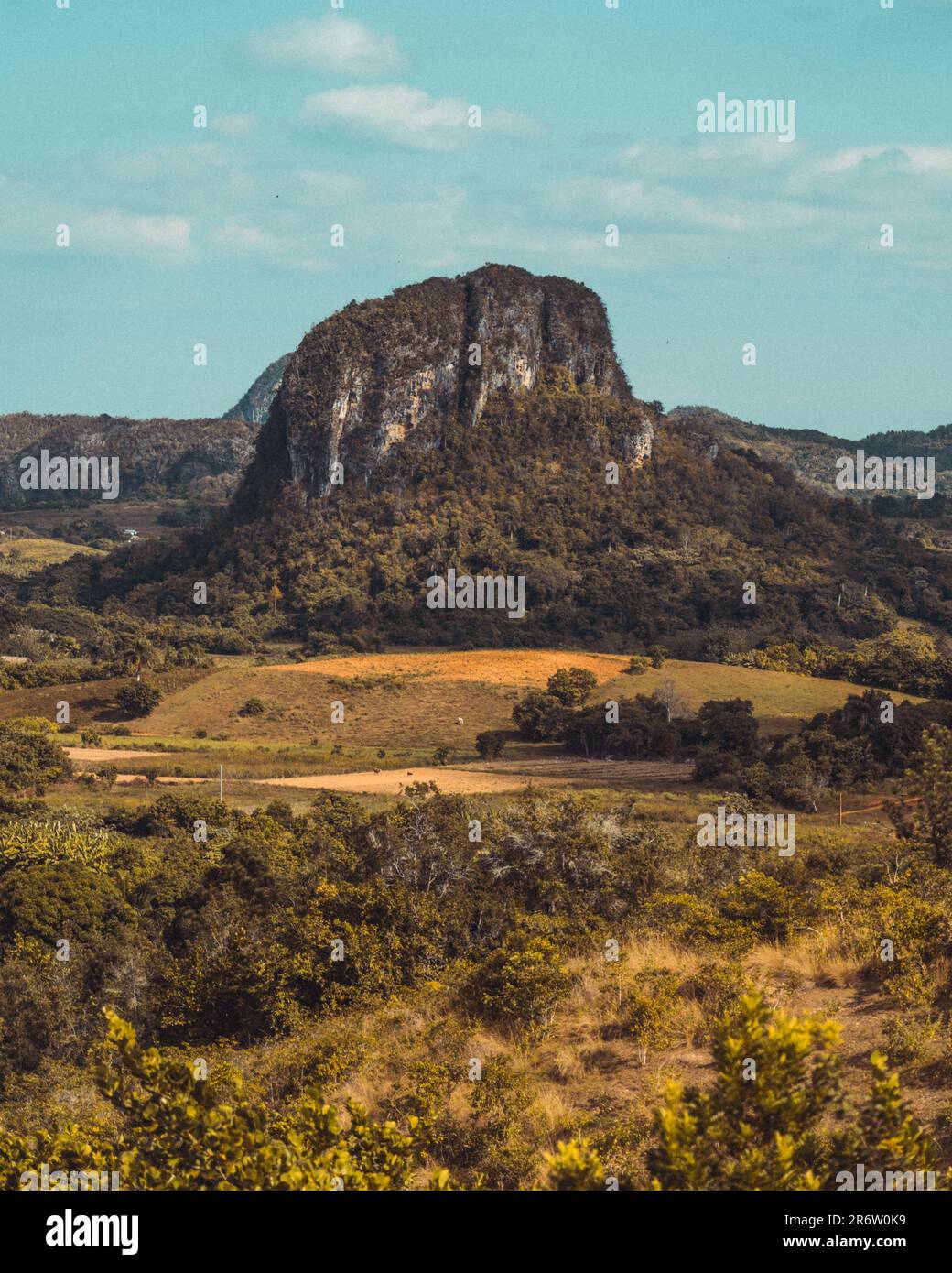 Viñales, Cuba, bagnata dal sole, svela il suo affascinante paesaggio. Colline ondulate, lussureggianti campi verdi e fascino rustico creano una scena pittoresca Foto Stock