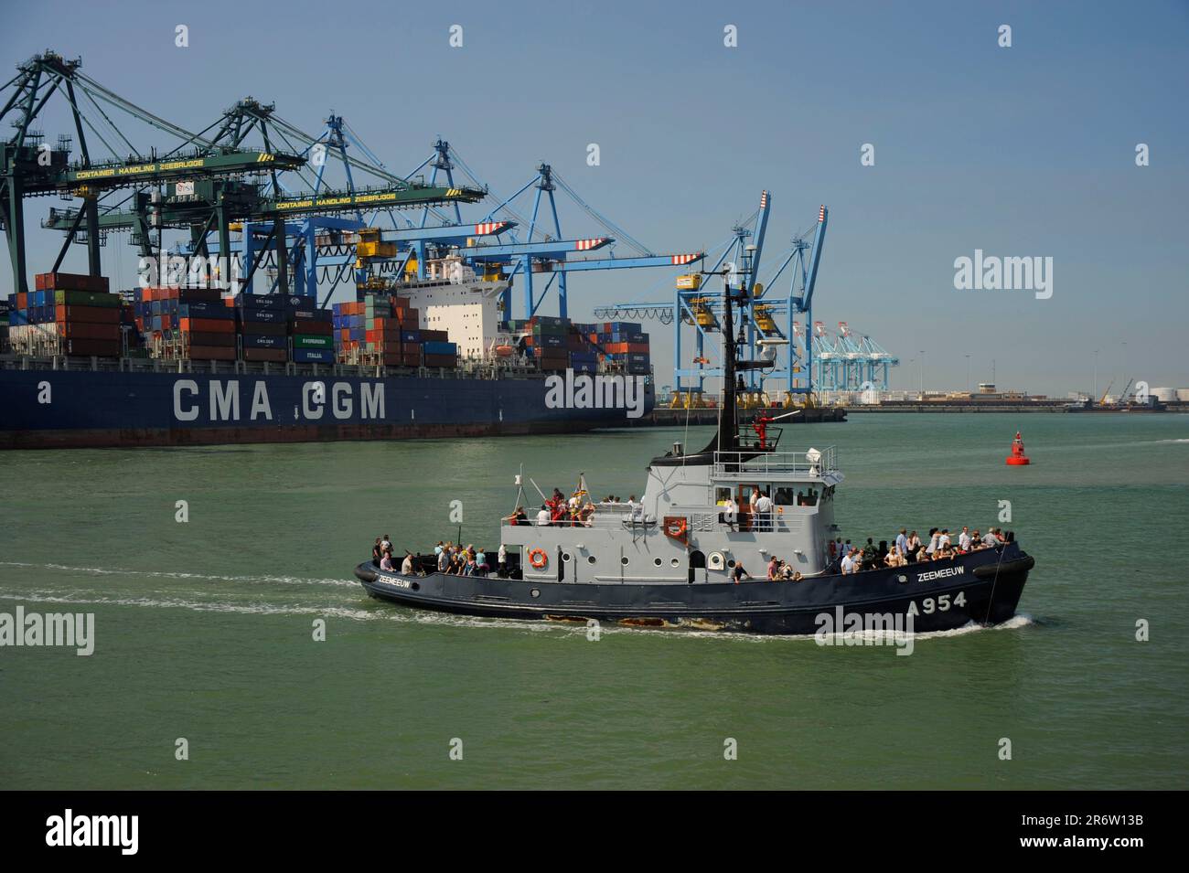 Nave da escursione in porto container, Fiandre, Zeebrugge, Fiandre Occidentali, Belgio Foto Stock