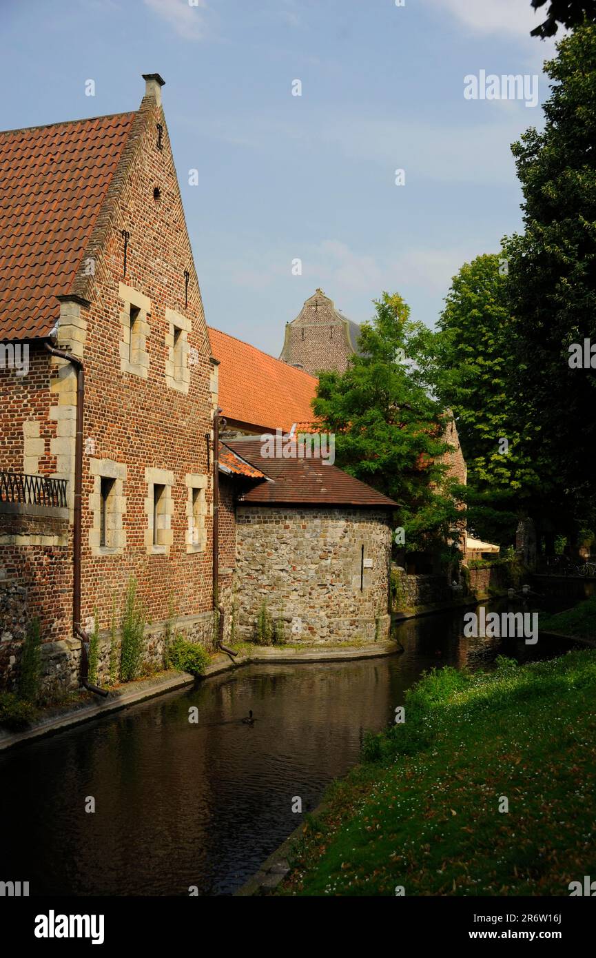 Beguinage, Tongeren, Limburgo, Fiandre, Belgio, Begijnhof, Beguinage Foto Stock